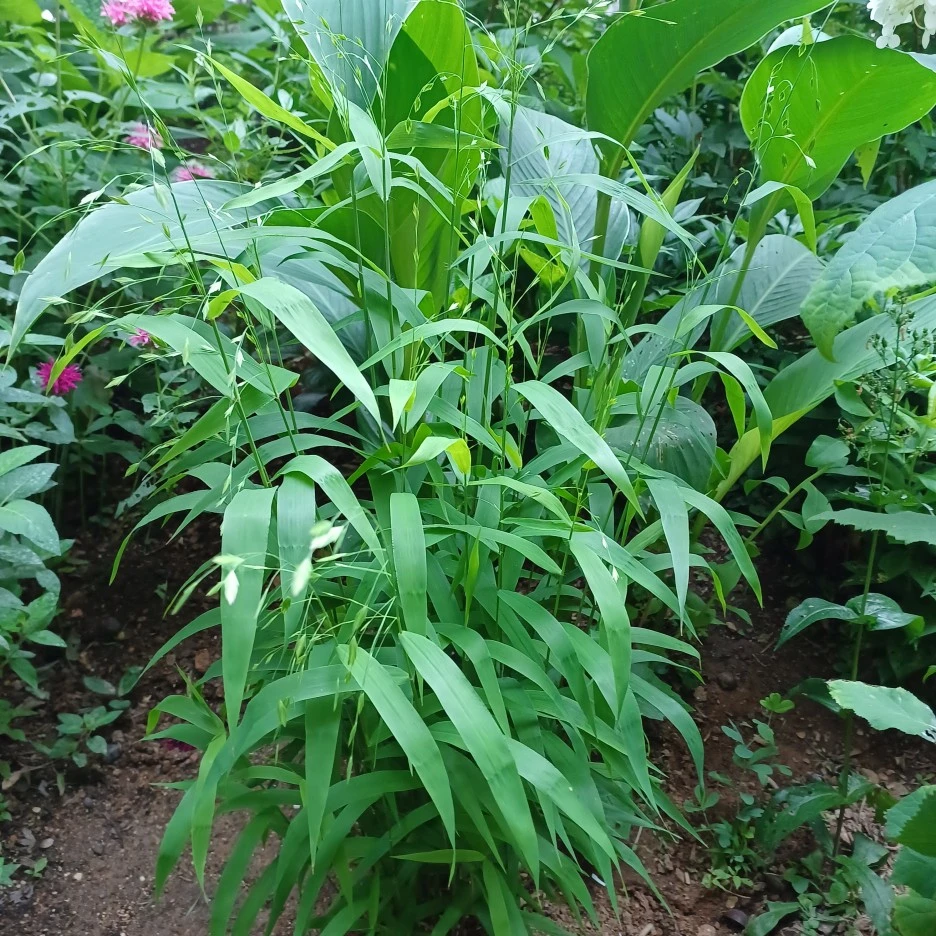 20220619_172714.jpg?type=w1