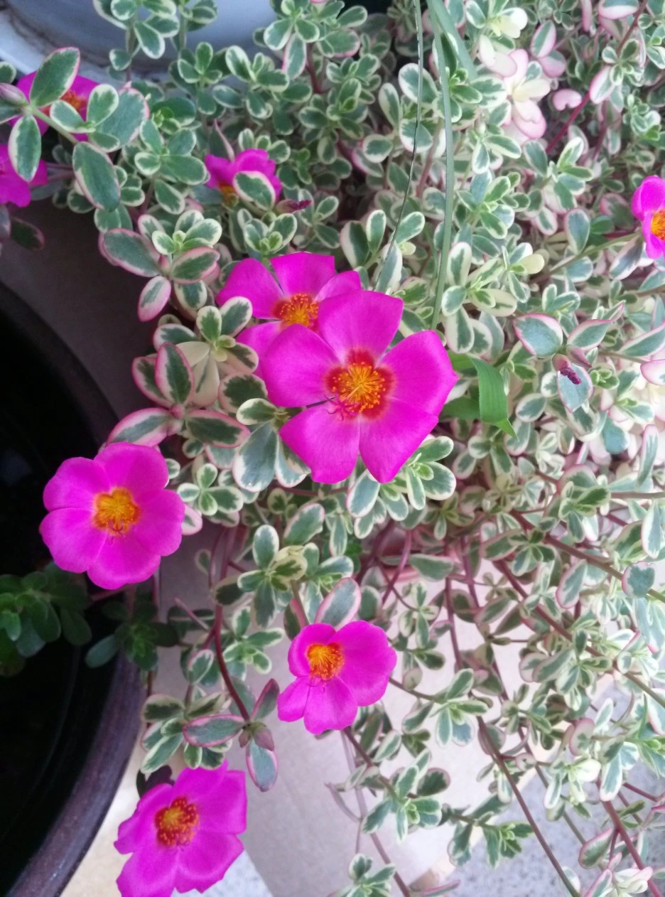 %EC%B1%84%EC%86%A1%EC%95%84.jpg?type=w1