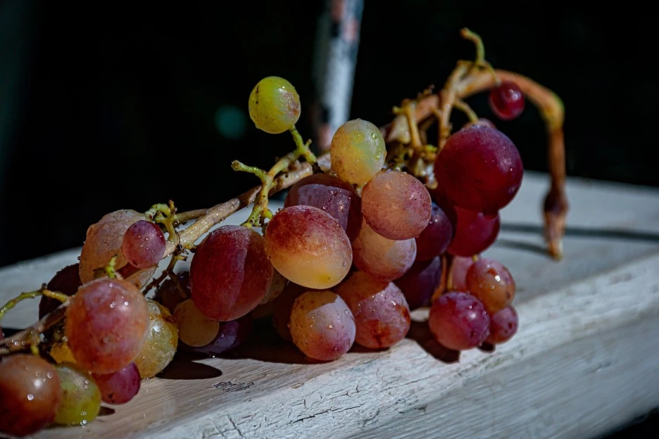 grapes-7477107_1920.jpg?type=w1