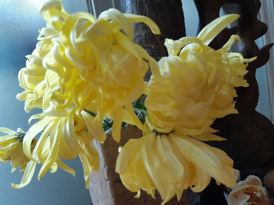 20211208%EF%BC%BF115307.jpg?type=w1