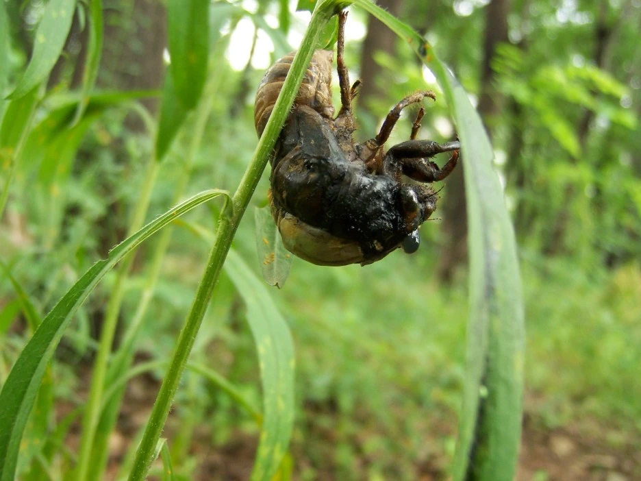 %EB%A7%A4%EB%AF%B8%ED%83%88%EB%B0%945.jpg?type=w1