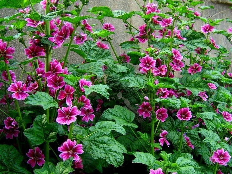 f0026f1bf059c68aa939941dc0cf4a6150d26d33.jpg?type=w1