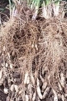 SE-8d9e1831-fa22-4c09-af13-a8698a5b7a70.jpg?type=w1