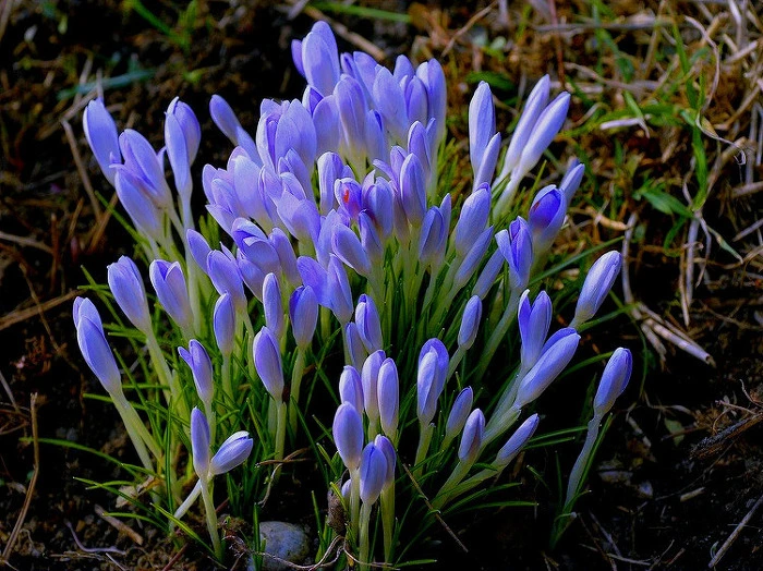 1245816351_200906241310010481233901_0.jpg?type=w1