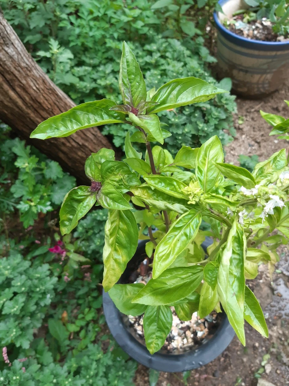 20200925_155513_(1).jpg?type=w1