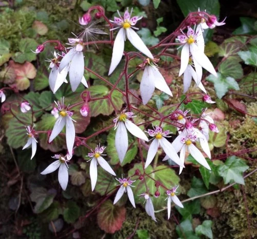 %EB%B0%94%EC%9C%84%EC%B7%A818.jpg?typew1