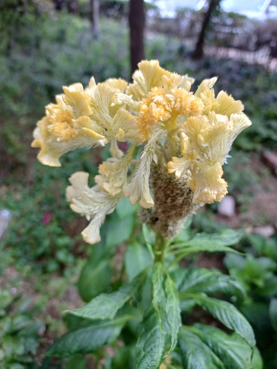 20220910%EF%BC%BF065125.jpg?type=w1