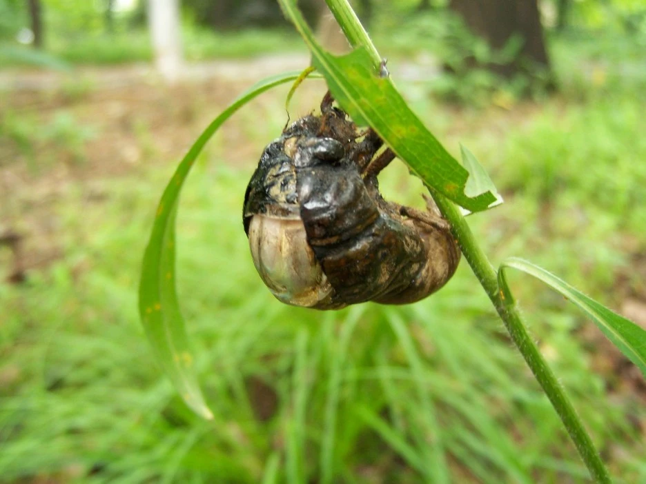 %EB%A7%A4%EB%AF%B8%ED%83%88%EB%B0%948.jpg?type=w1