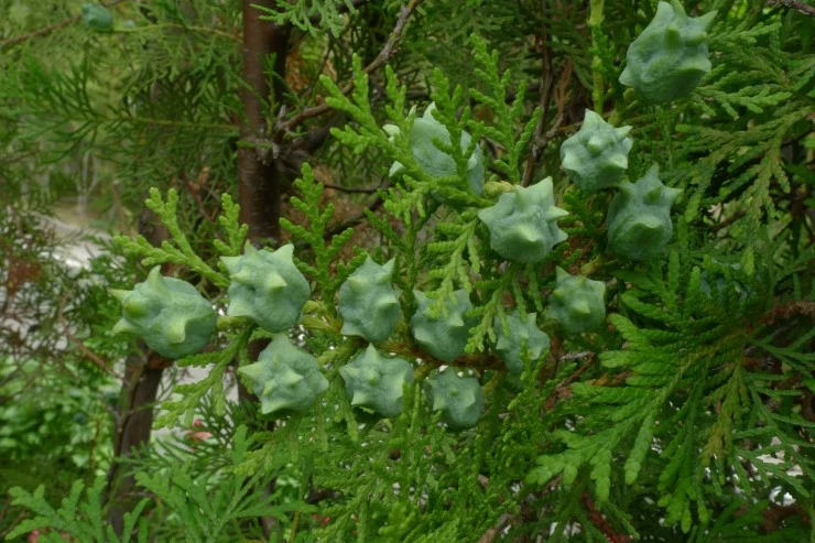 P1410094.jpg?type=w1