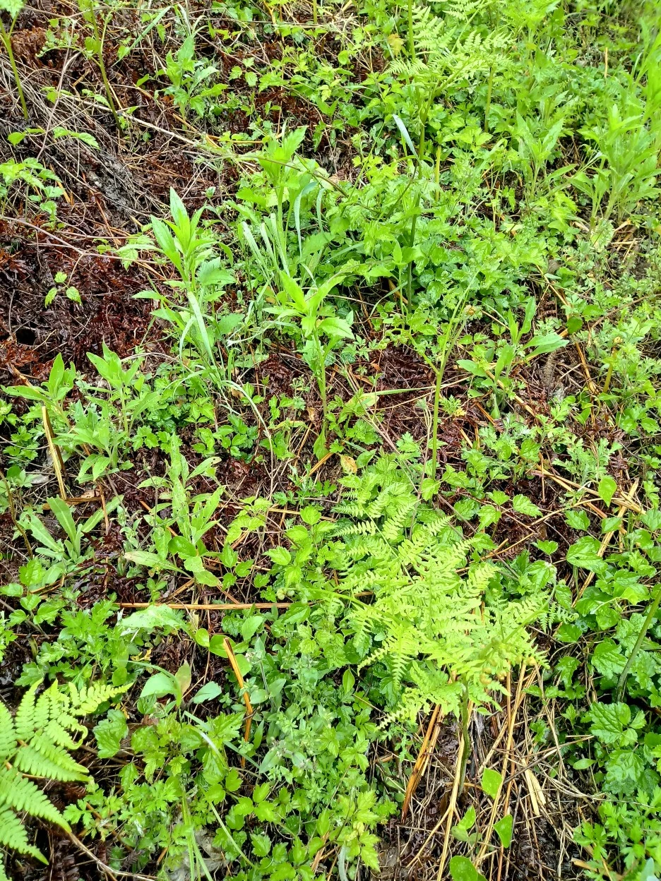 20180512_120846_HDR.jpg?type=w1