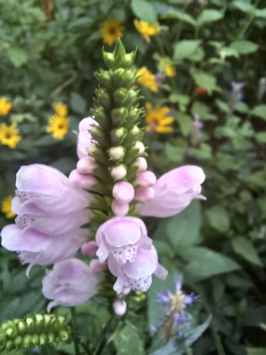 20220910%EF%BC%BF063917.jpg?type=w1