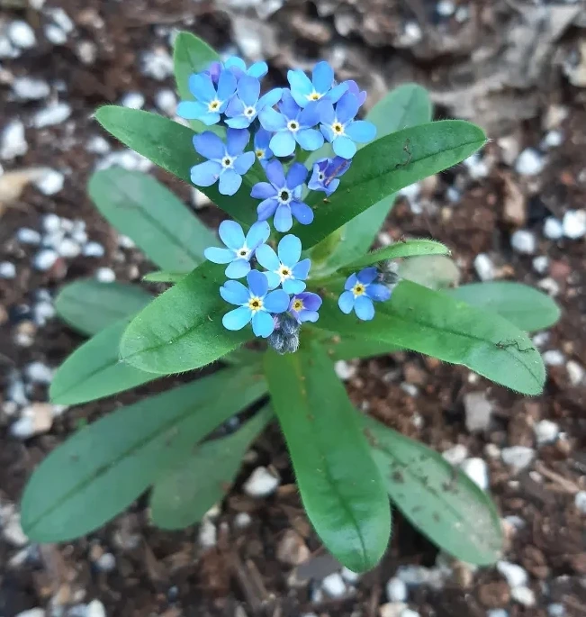 SE-c84bd813-bf5d-11ec-be3b-d3e2e2a156ad.jpg?type=w1