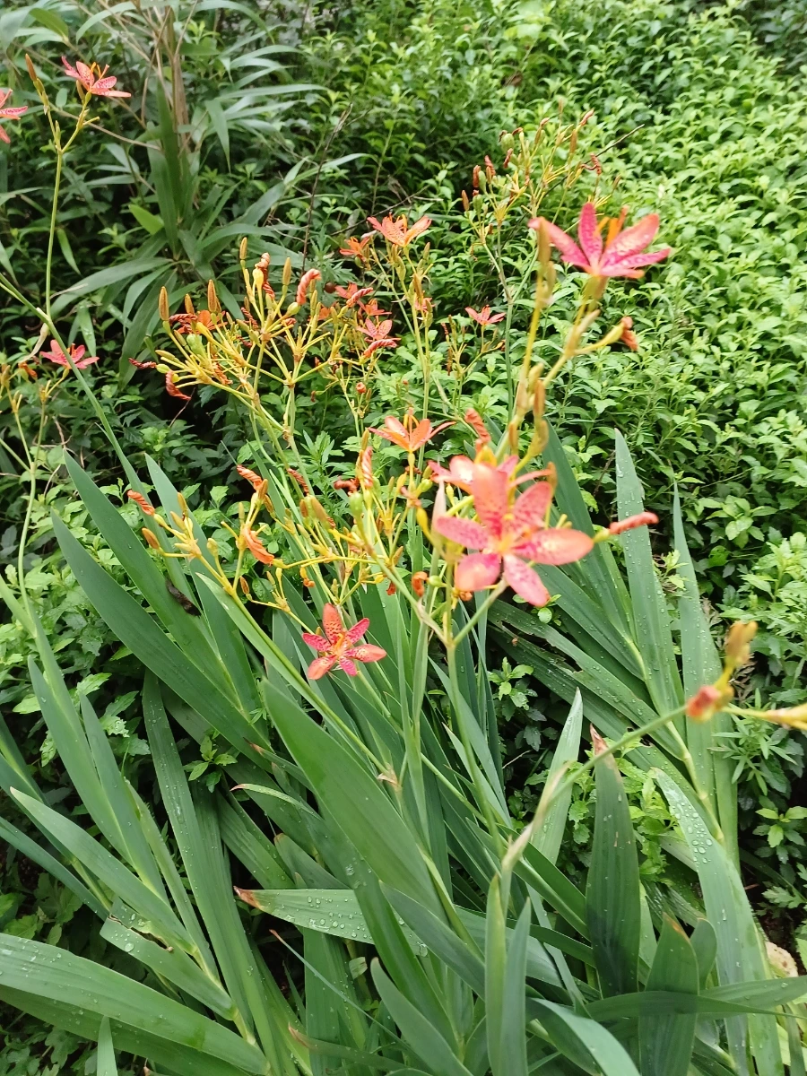 20220721%EF%BC%BF125152.jpg?type=w1