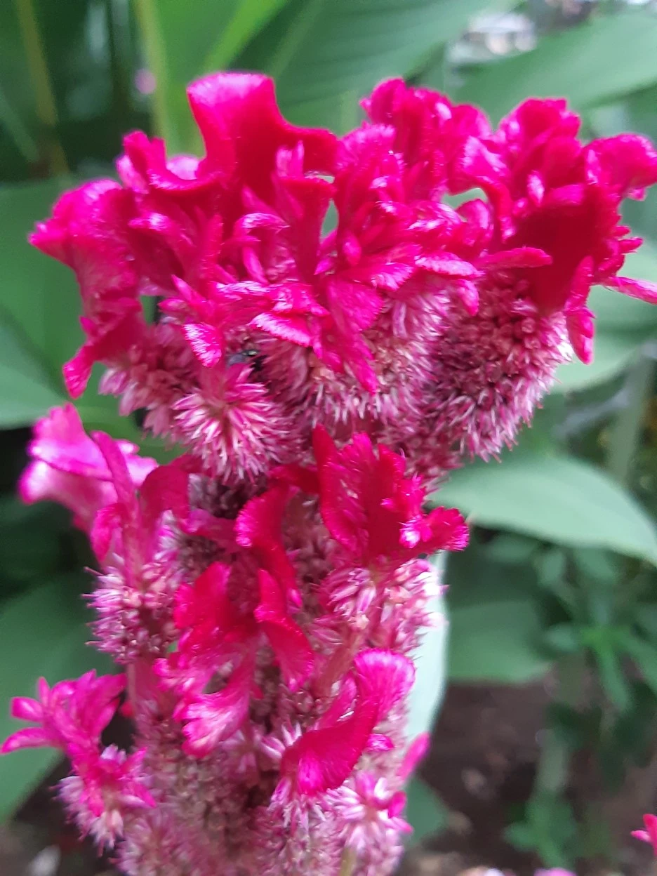 20210818_190358.jpg?type=w1