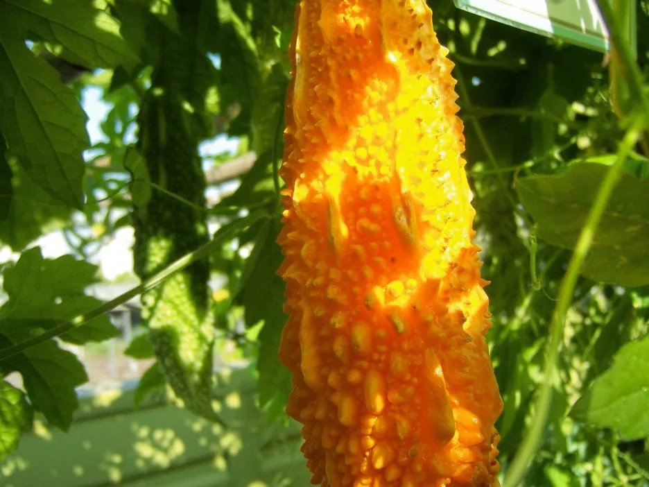 %EC%9C%A0%EC%9E%904.jpg?type=w1