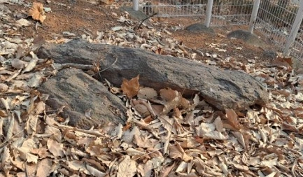 SE-02dc185d-bfbc-48ce-95b1-83da8ef140c8.jpg?type=w1