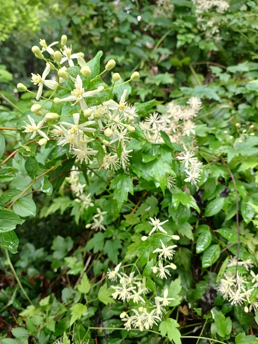 20220829%EF%BC%BF142052.jpg?type=w1