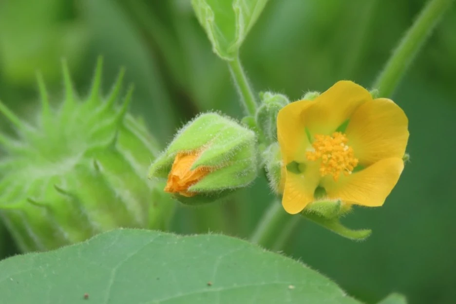 IMG_0855.jpg?type=w1