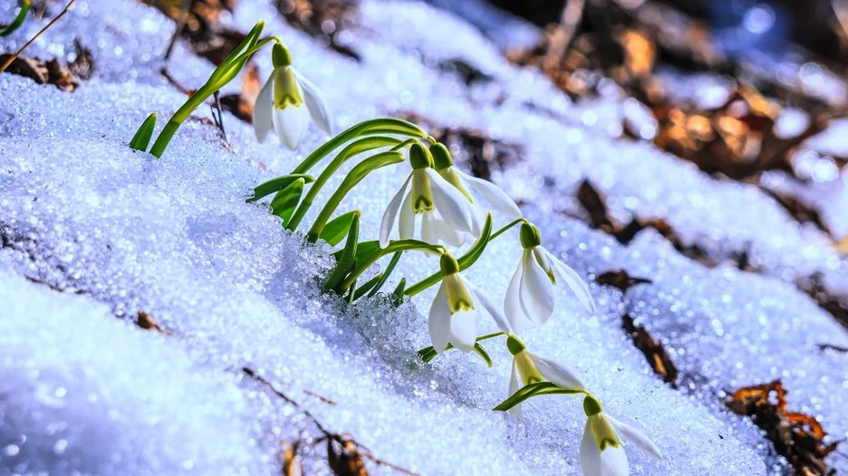 hd-wallpaper-7646881_1920.jpg?type=w1