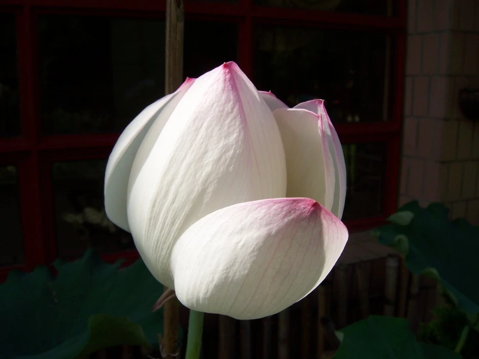 100_6134.jpg?type=w1