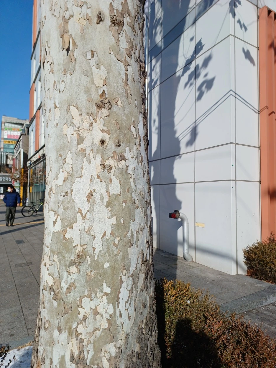 20221216%EF%BC%BF135645.jpg?typew1