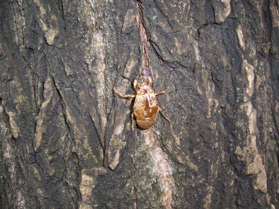 100_4112.jpg?type=w1