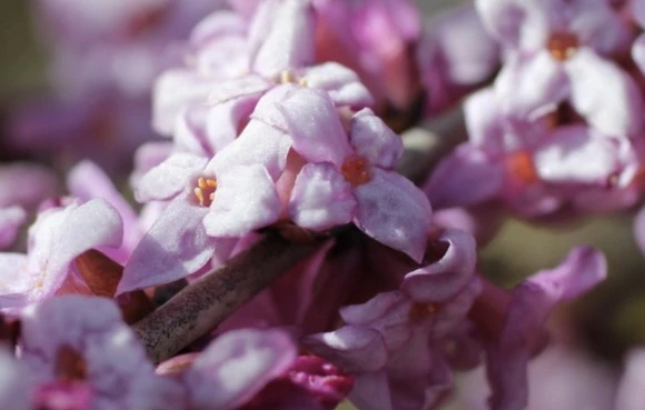 KakaoTalk_20210210_135801209_03.jpg?type=w1