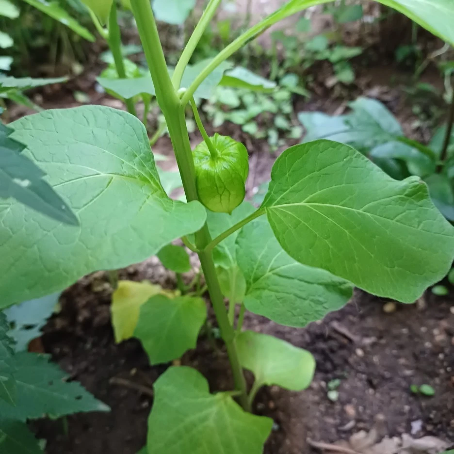 20220527_193054.jpg?type=w1