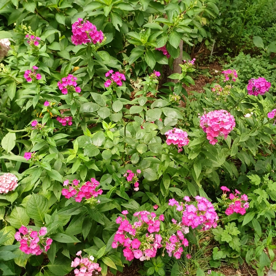 20220705%EF%BC%BF123123.jpg?type=w1