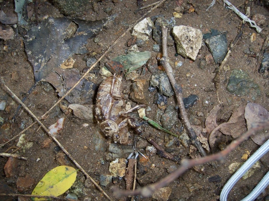 100_4116.jpg?type=w1