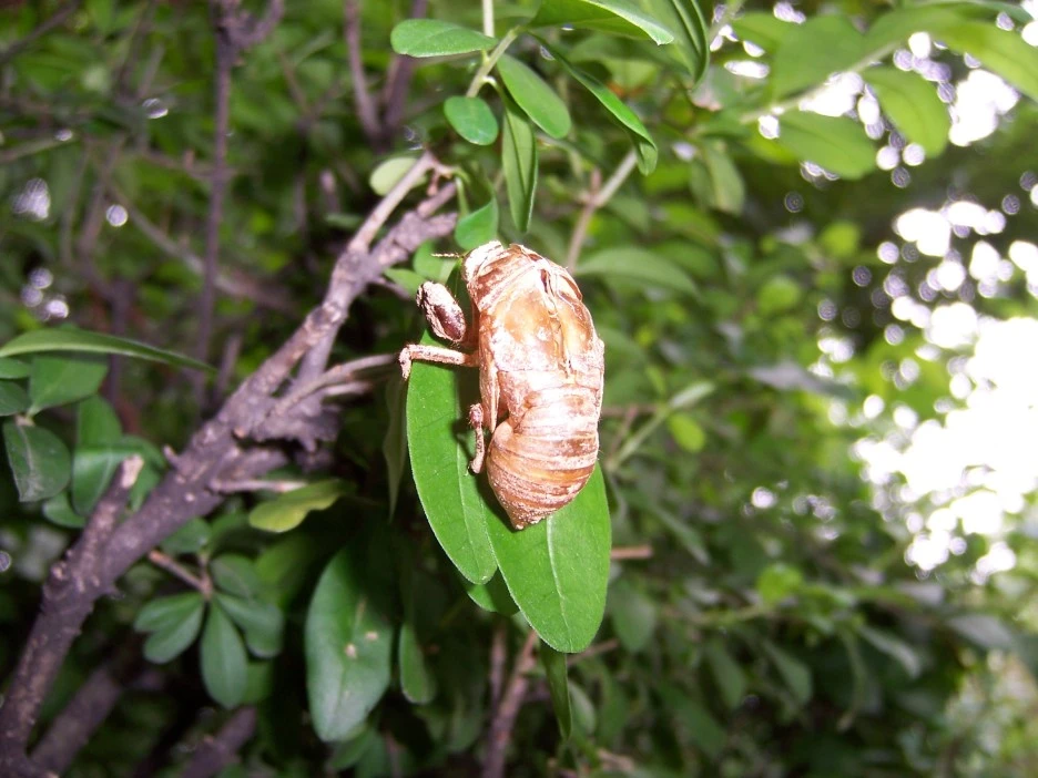 100_4107.jpg?type=w1