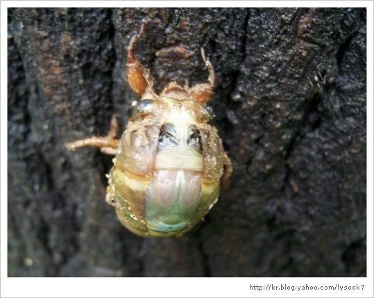 img_33_461_14.jpg?type=w1