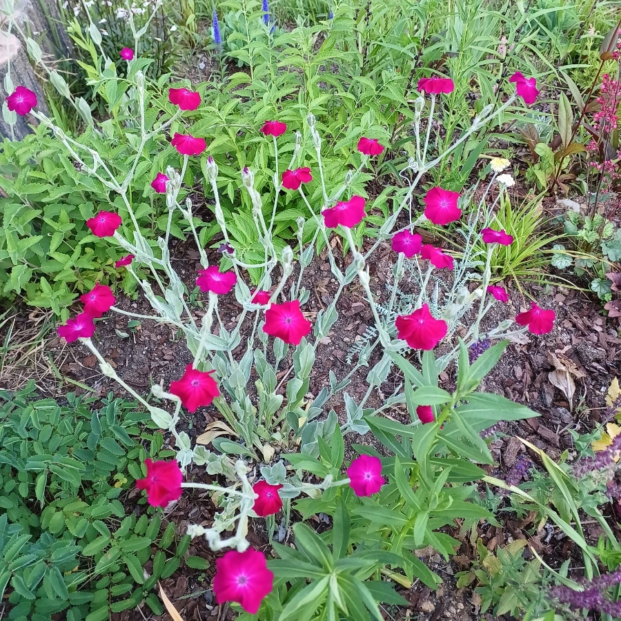 20220527%EF%BC%BF183608.jpg?type=w1