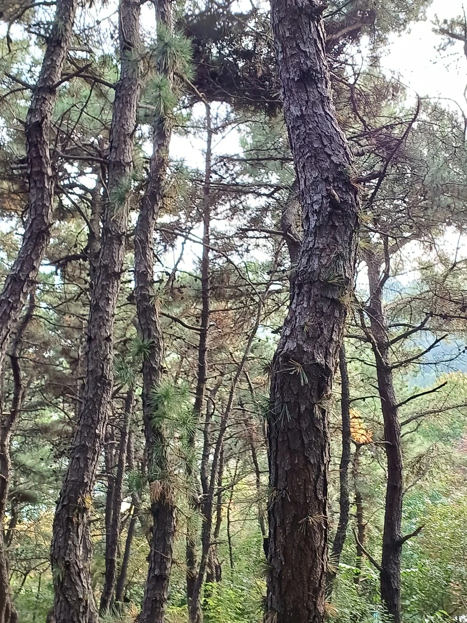 20221016_155746.jpg?type=w1