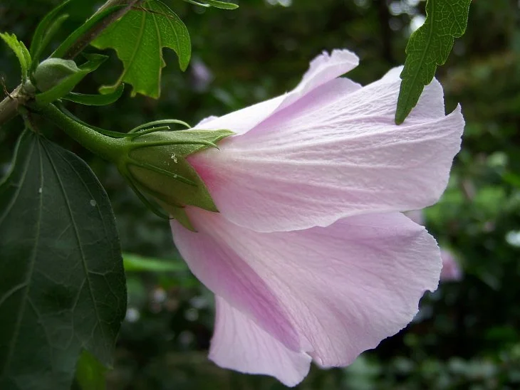 result_2006_7_2_13_53_7_406_34-lysook7.jpg?type=w1