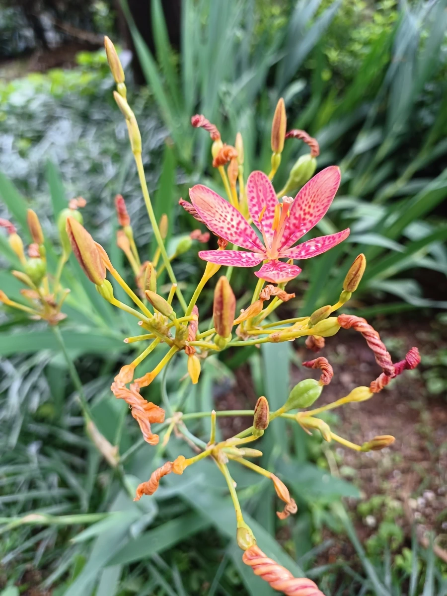 20220721%EF%BC%BF125313.jpg?type=w1