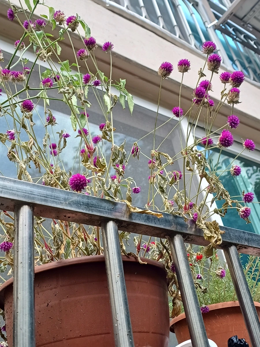 20220730%EF%BC%BF130720.jpg?type=w1