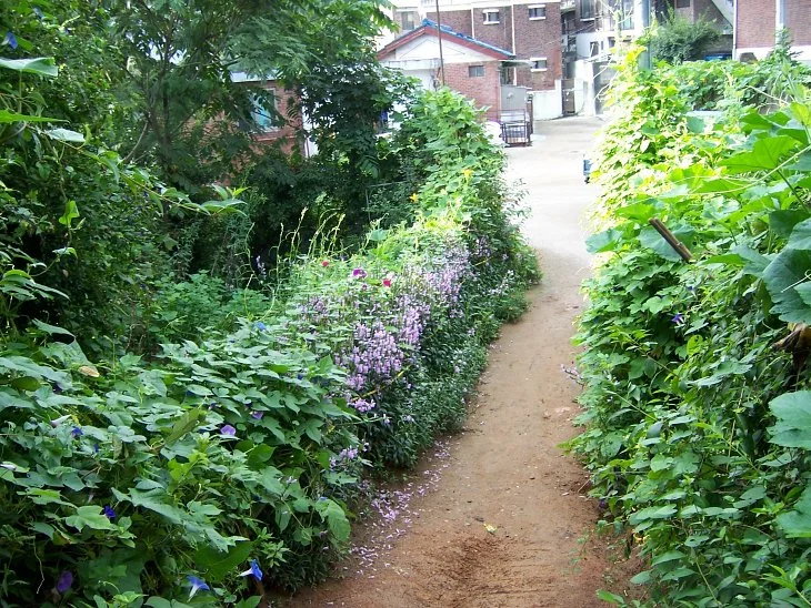 result_2006_7_3_11_44_14_296_10-lysook7.jpg?type=w1