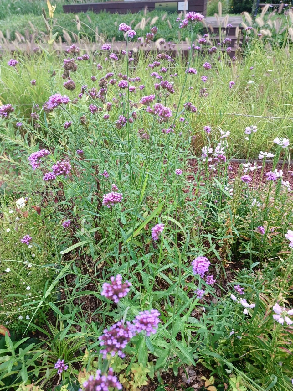 20220912%EF%BC%BF120726.jpg?type=w1