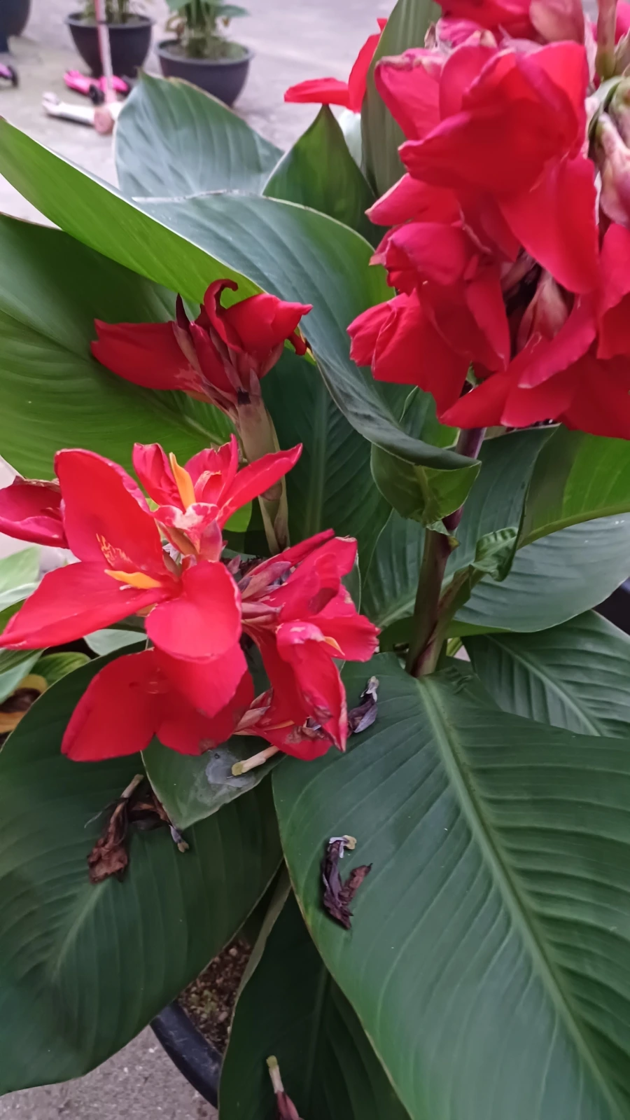 20220817%EF%BC%BF192508.jpg?type=w1