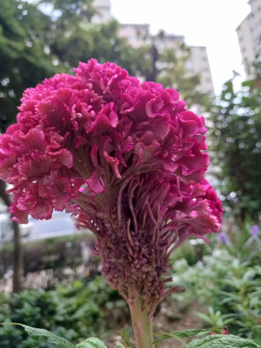 20220910%EF%BC%BF065113.jpg?type=w1