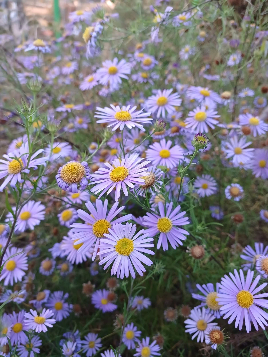 20221023_171731.jpg?type=w1