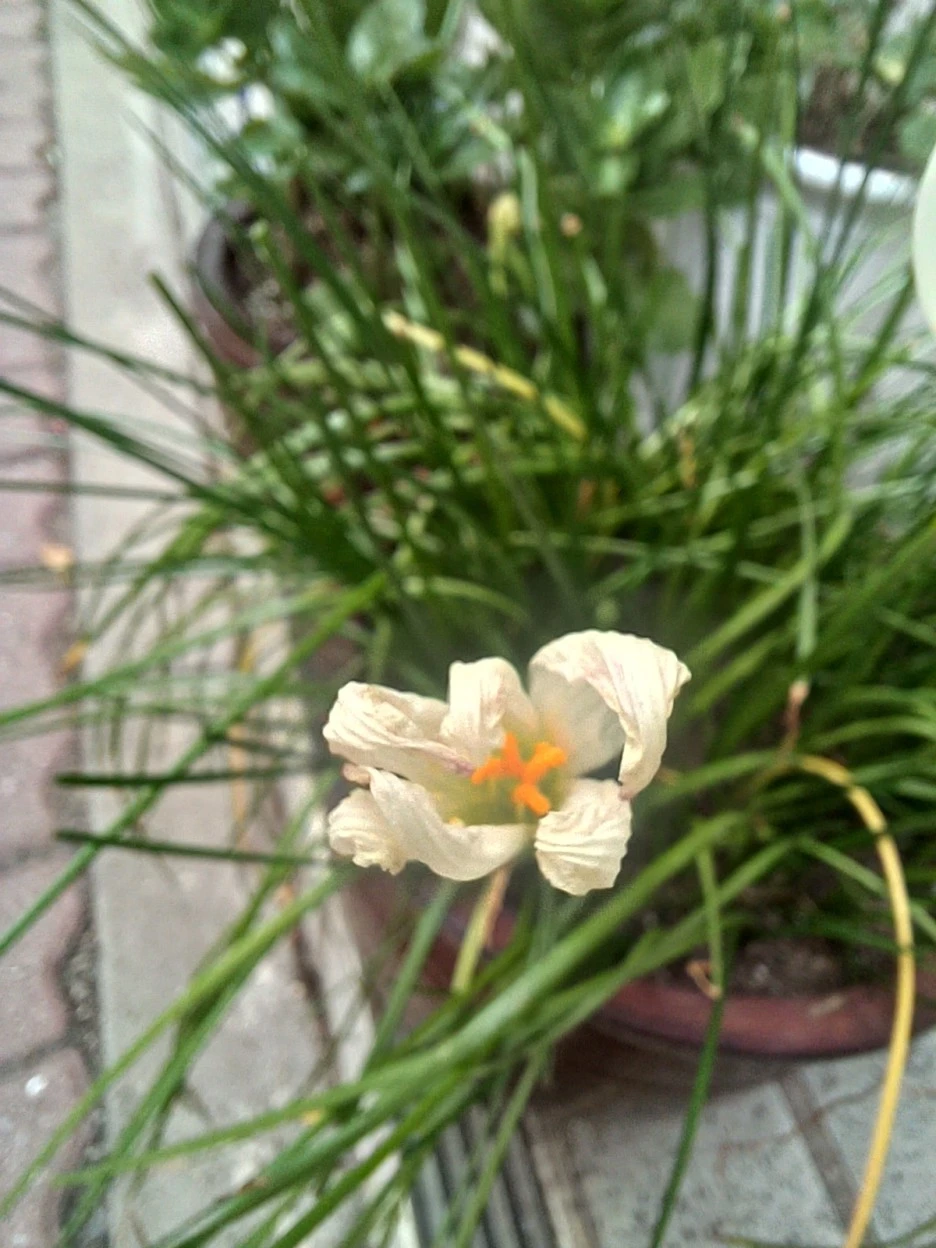 20220920_125254.jpg?type=w1