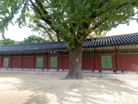 20241009_124215.jpg?type=w466