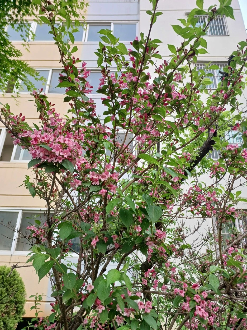 20230507_172624.jpg?type=w1