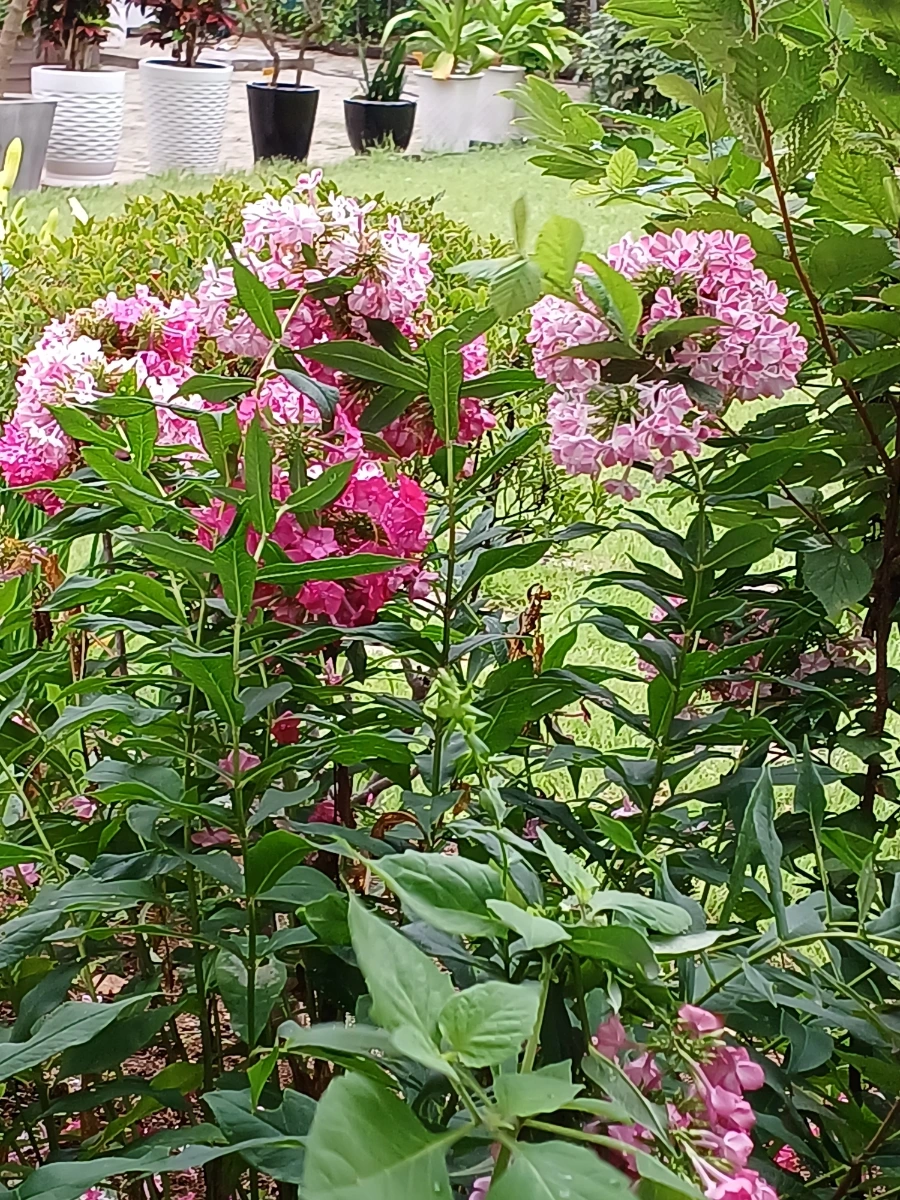 20220721%EF%BC%BF131214.jpg?type=w1