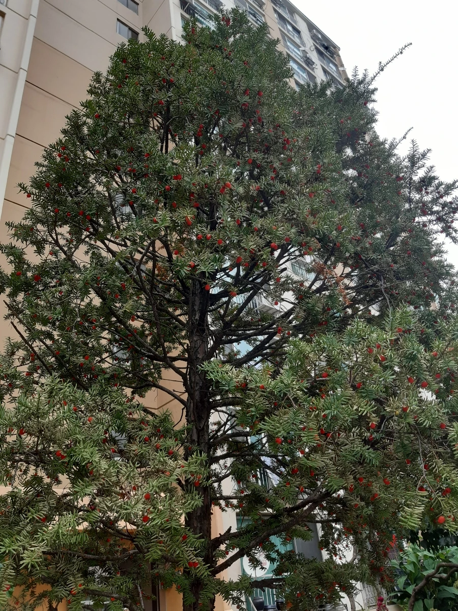 20211010%EF%BC%BF095613.jpg?type=w1