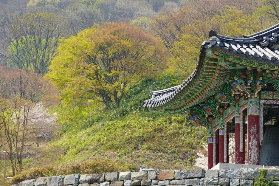 korea-5050129_1920.jpg?type=w1