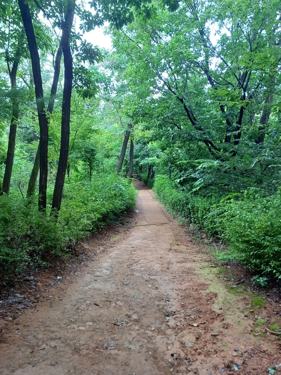 20220829_133245.jpg?type=w1