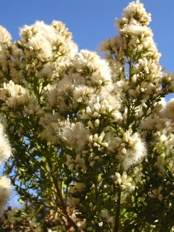 cdbffa959f66c6374d4e1180716b4c68.jpg?typew1